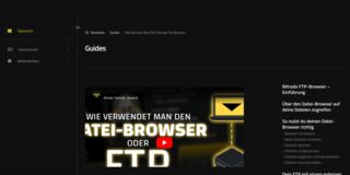 Screenshot: Nitrado – FTP-Browser über FTP Port 21