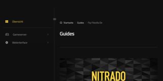 Screenshot: Nitrado – Filezilla nutzt FTP Port 21